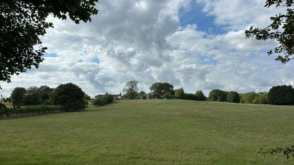 A view of sheep pastures